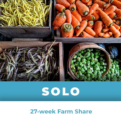 Solo Farm Share