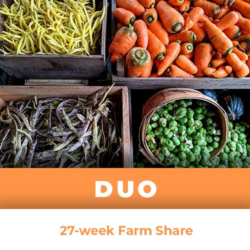 Duo Farm Share