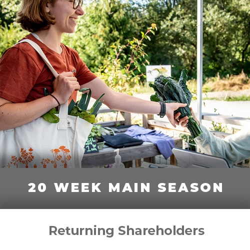 Main Season Farm Share- Returning Shareholders