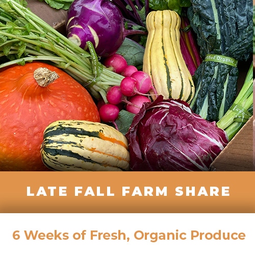6-Week Fall Farm Share